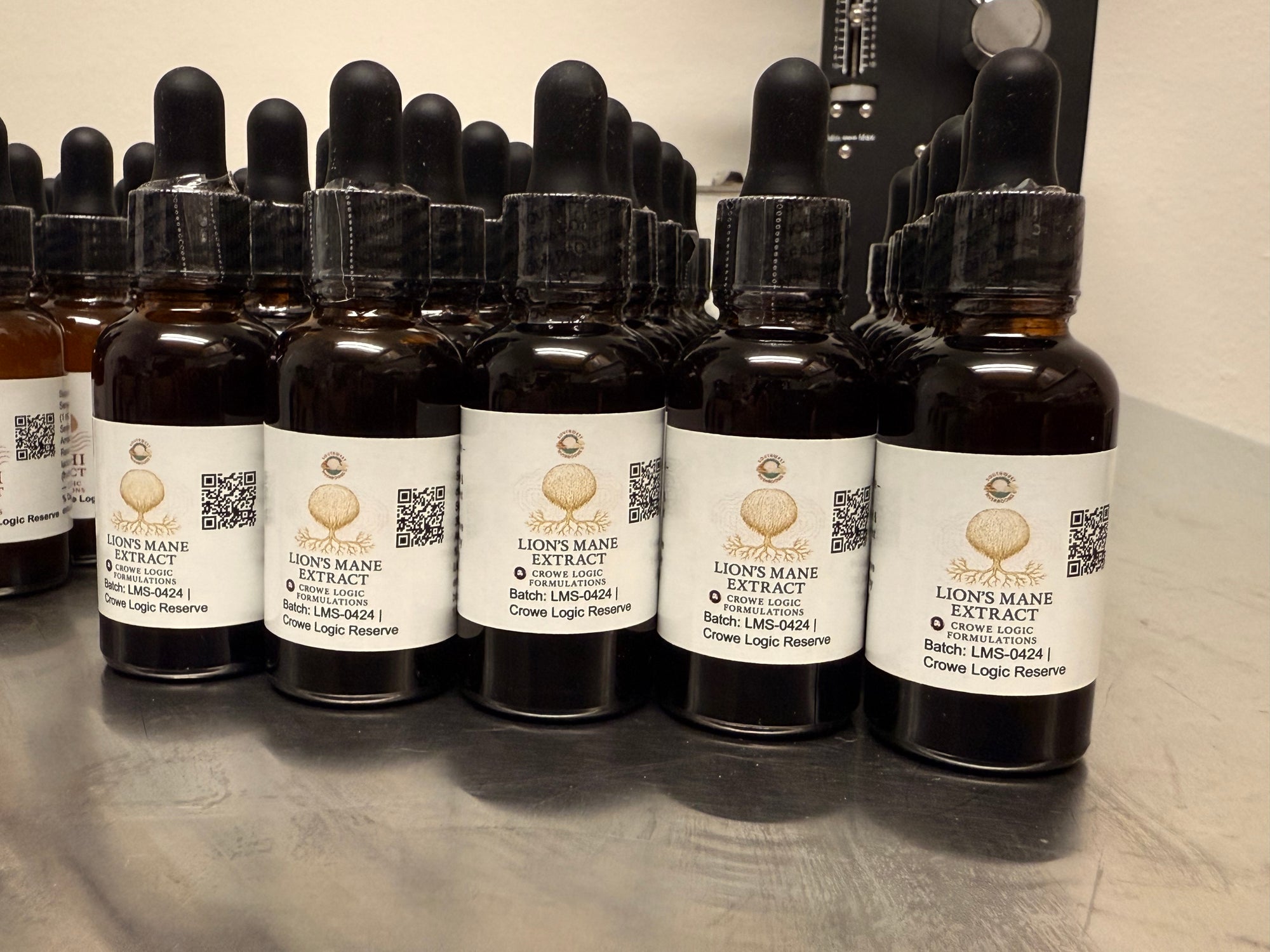 Lion’s Mane Dual-Extract Tincture – Brain & Nerve Support