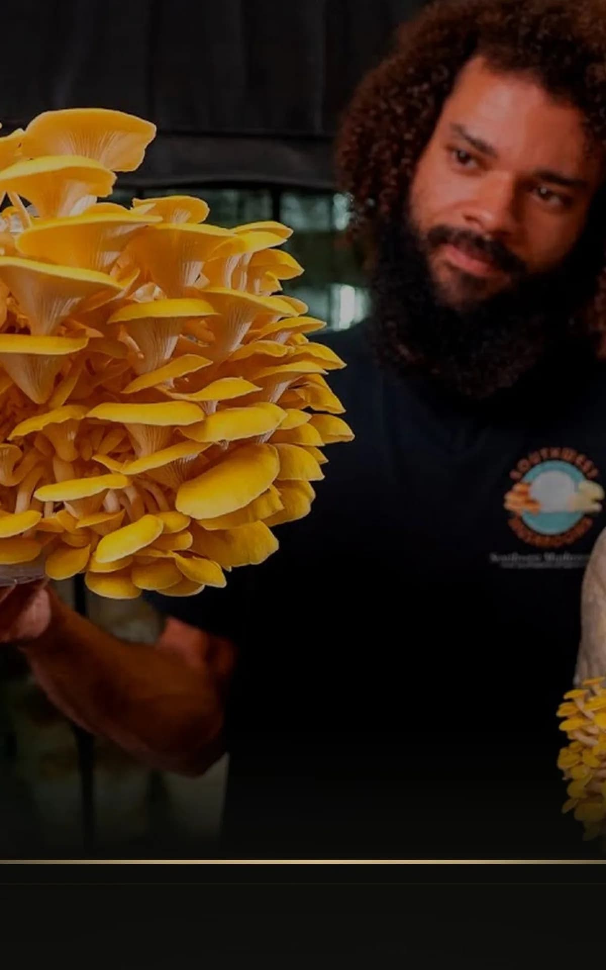 The Mushroom Grower Volume 1