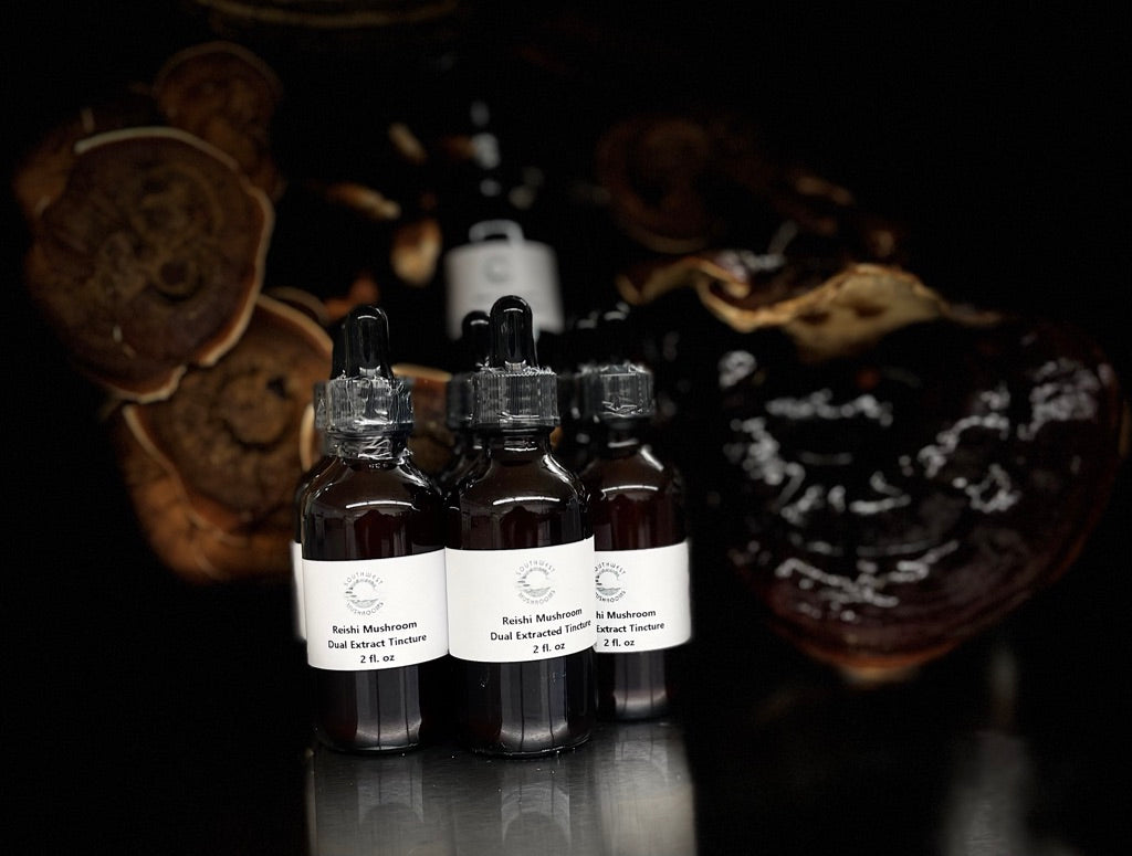 Reishi Dual-Extract Tincture – Immune Balance & Daily Resilience