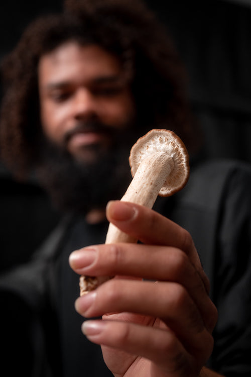 A Journey Into Mycology | Audio Book