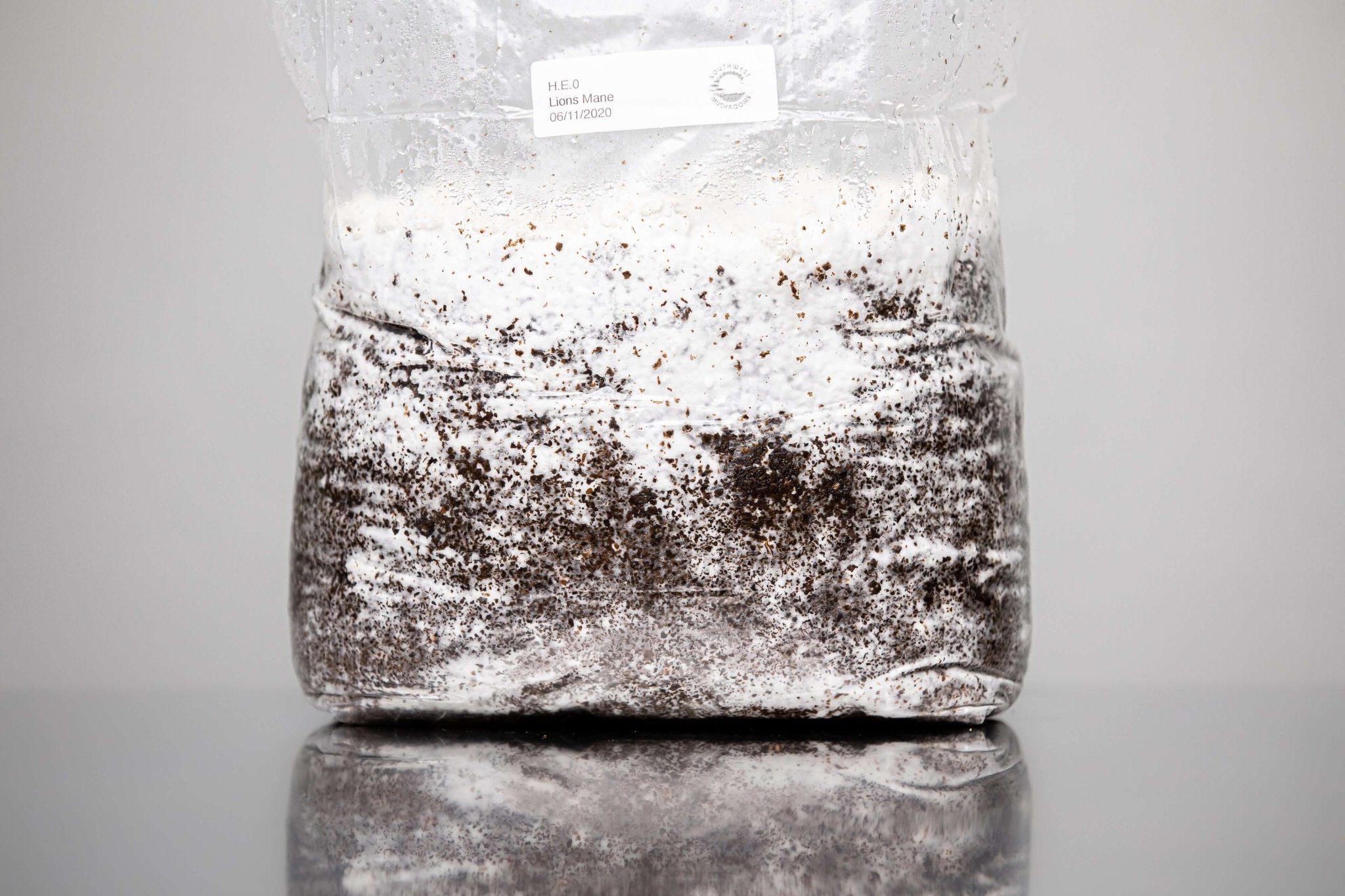 Southwest Mushrooms Turkey Tail immune tincture production