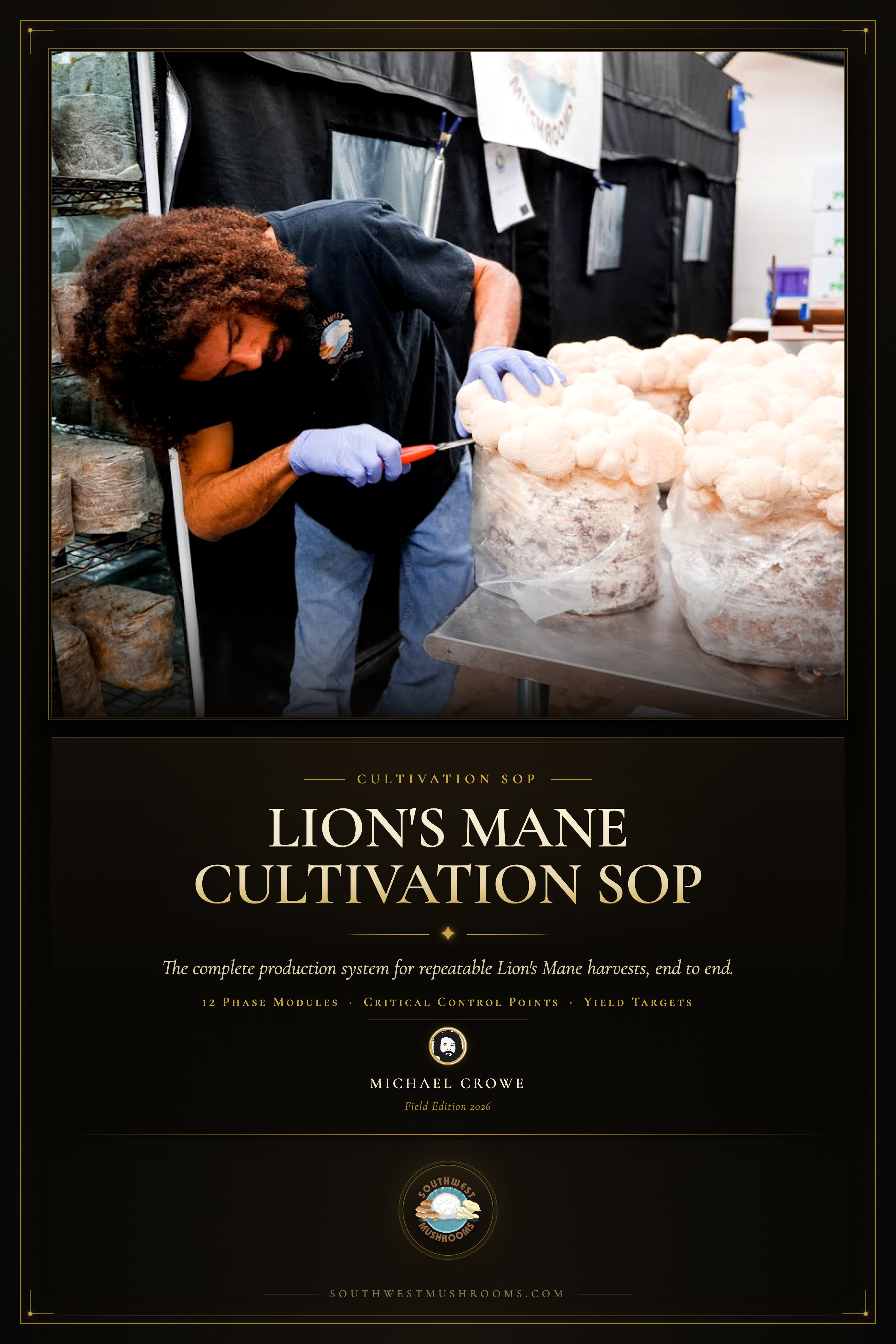 Lion's Mane — Southwest Mushrooms