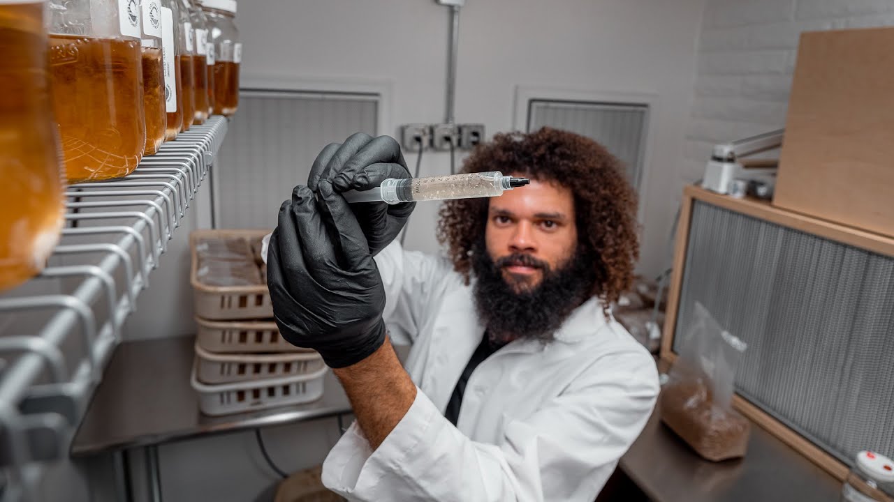 Southwest Mushrooms Phoenix lab producing Cordyceps performance tincture