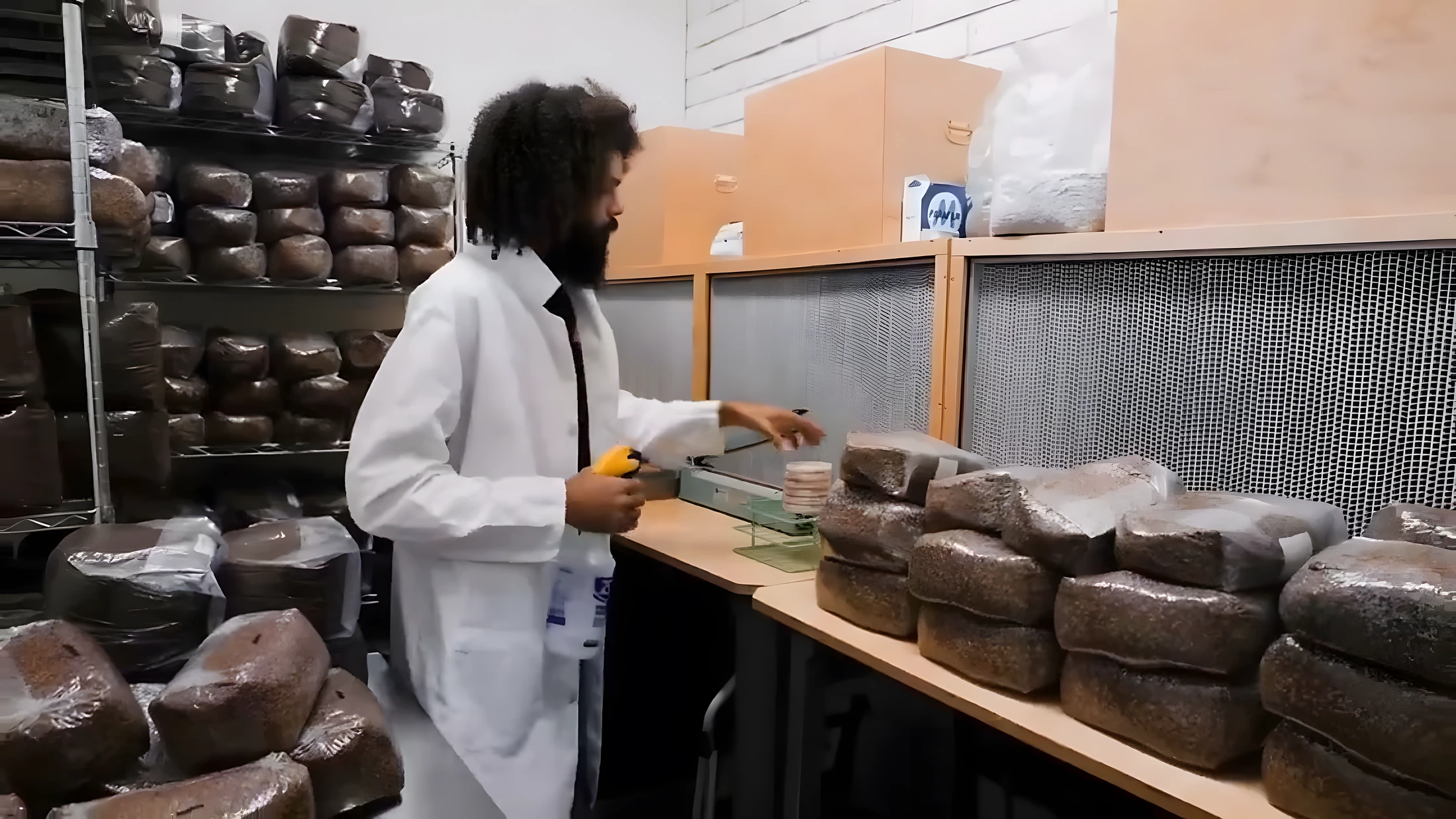 Michael Crowe, founder of Southwest Mushrooms, in the production lab
