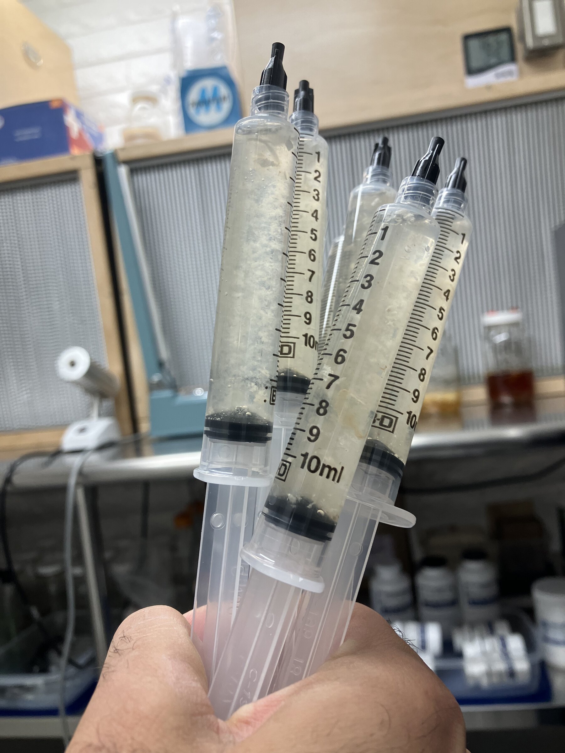 10cc liquid culture syringes filled in the Southwest Mushrooms lab